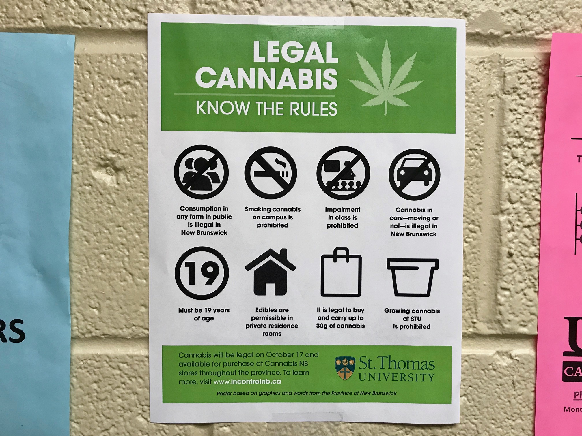 Five things to know about cannabis on campus