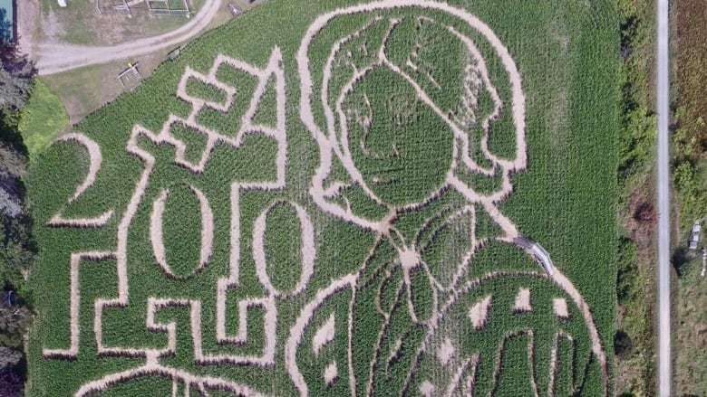 The 2020 Florence Nightingale Corn Maze