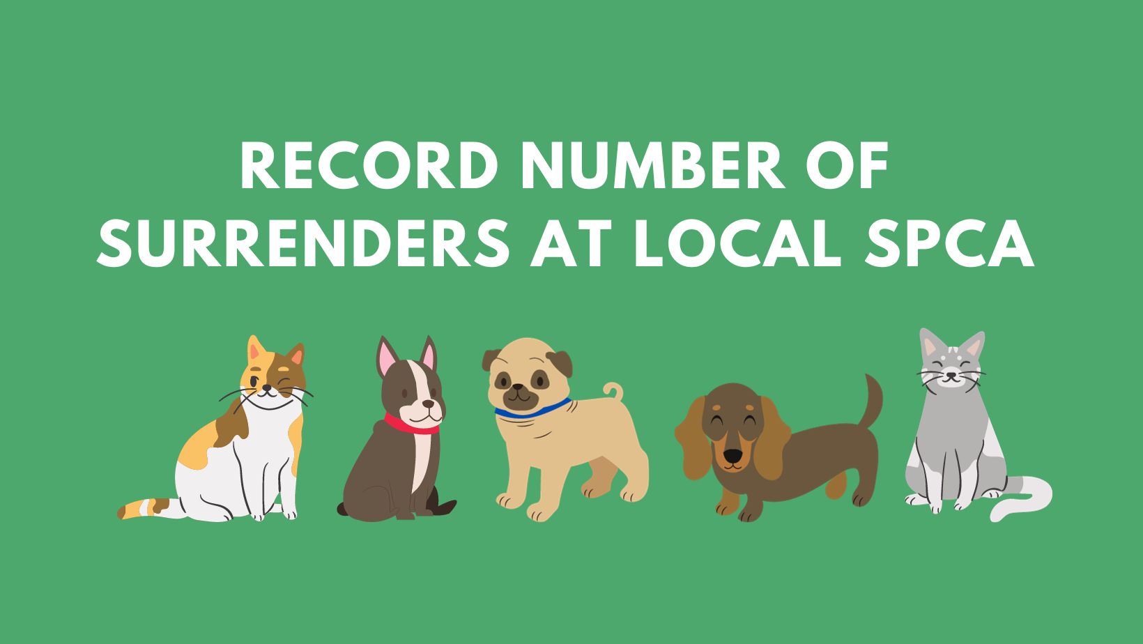 white text on green background "Record number of surrenders at local SPCA" with cartoon dogs and cats below text