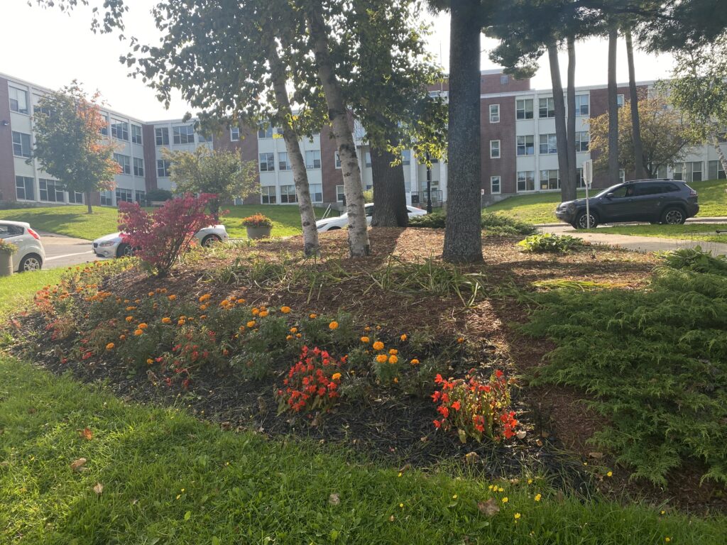 flower bed with trees behind it in the greenery in front of campus building