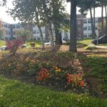 flower bed with trees behind it in the greenery in front of campus building