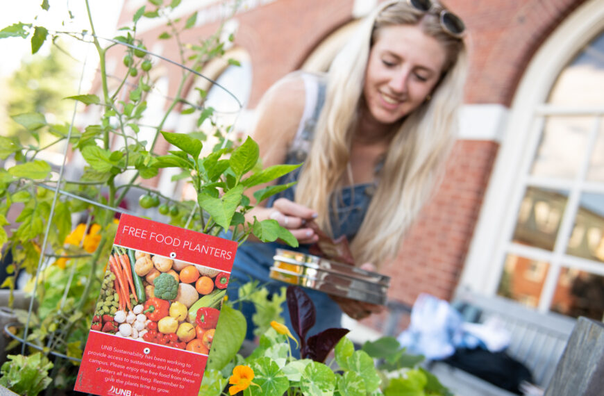 Will We Ever Get to Have a Garden?